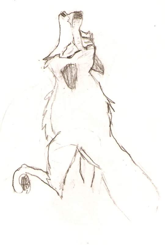 Aleu howling
