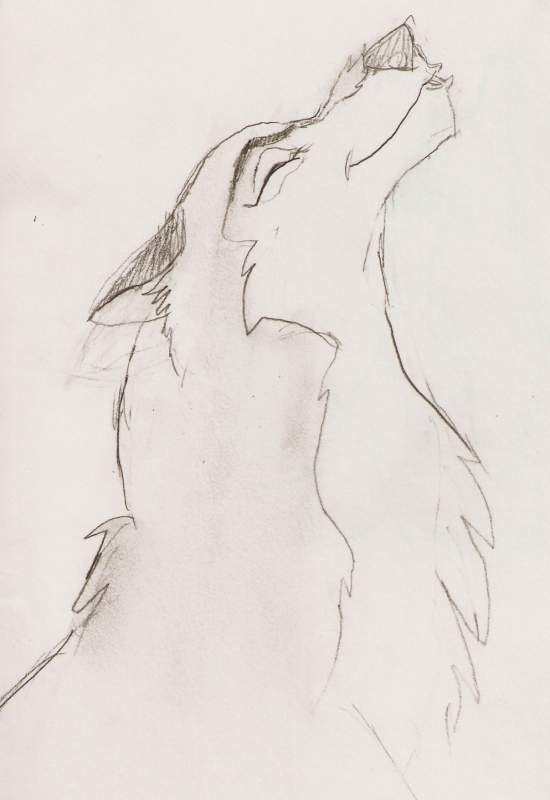 Aleu again