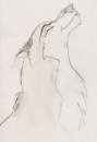Aleu again