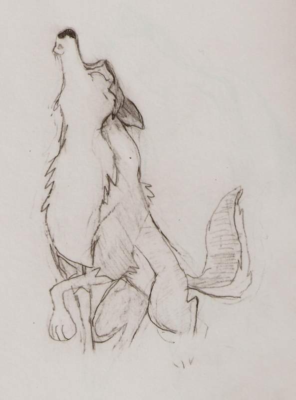 Aleu