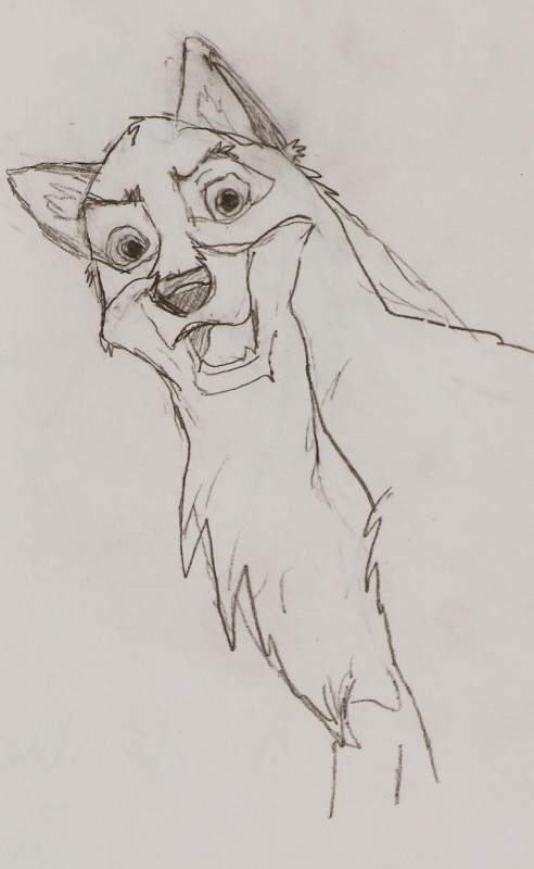 Balto