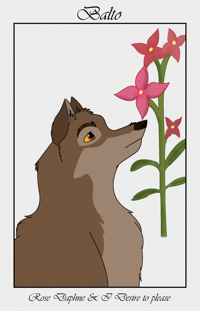 Rose Daphne-Balto