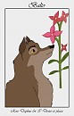 Rose Daphne-Balto
