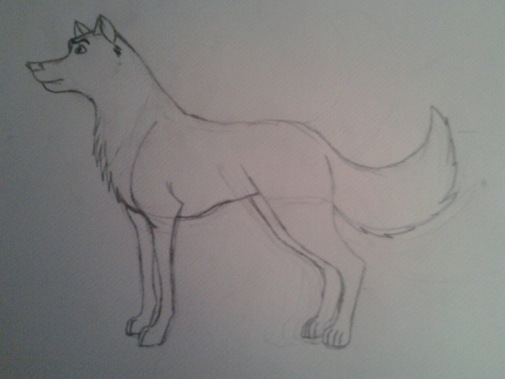Balto's dad sketch