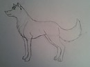 Balto's dad sketch