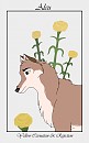 Yellow Carnation-Aleu