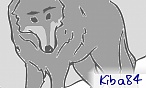 kiba84