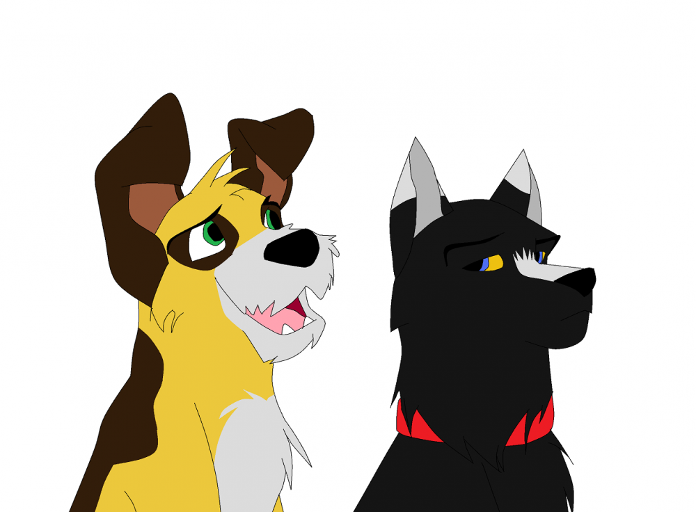 Ken and Dan