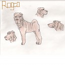 Rosco