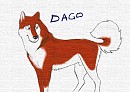 Dago