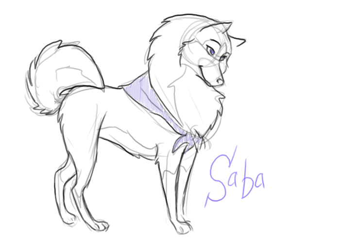 Saba sketch