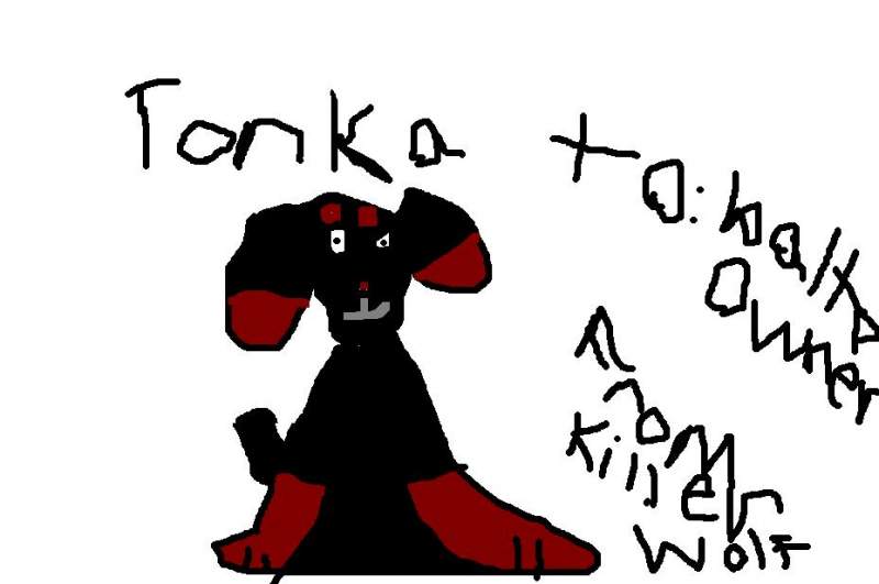 TONKA