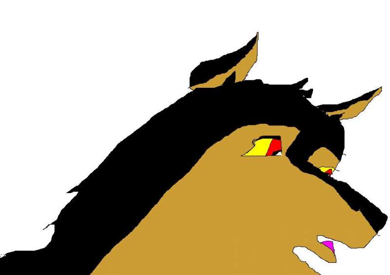wolf