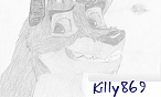 killy869