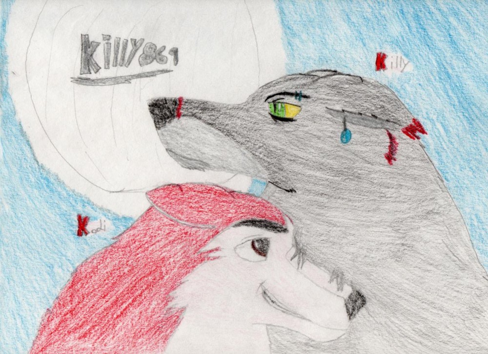 Killy+Kodi