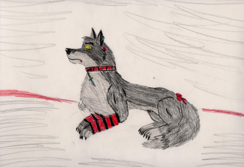 Me (half wolf)