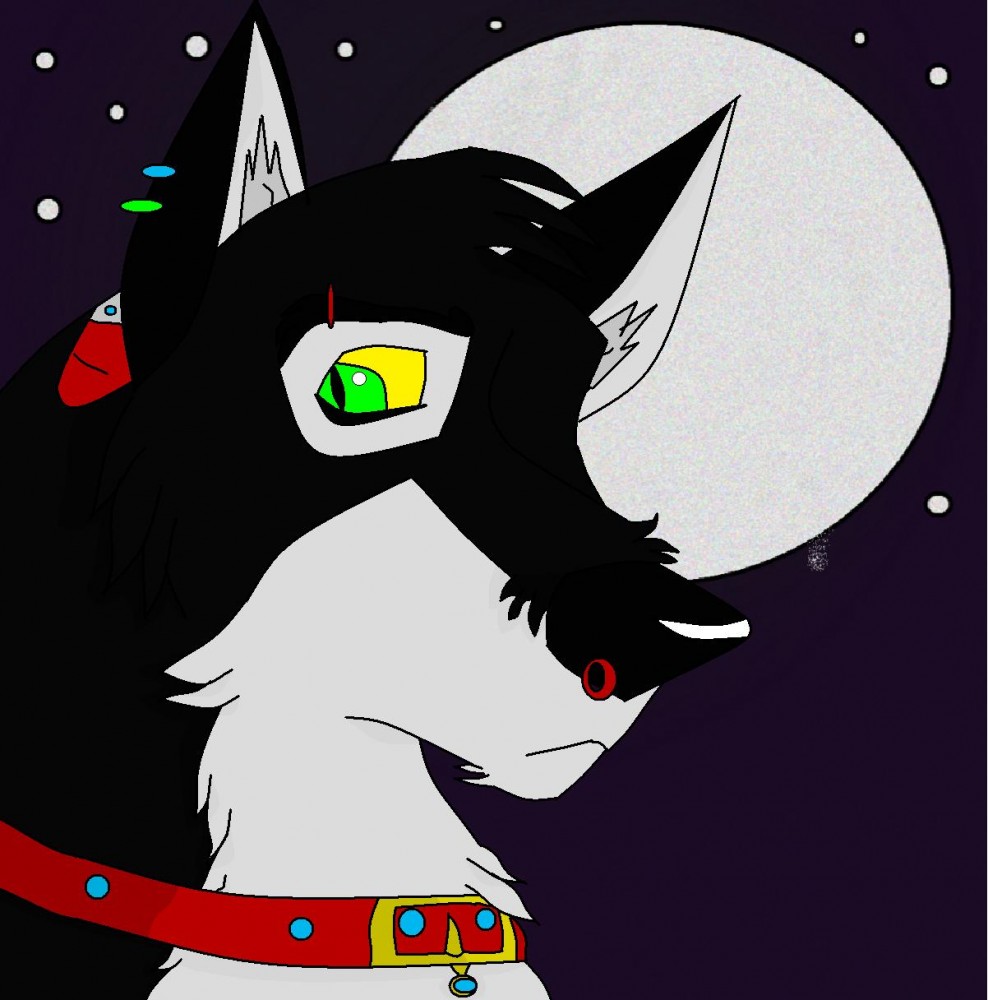 Me (half wolf)by the moon