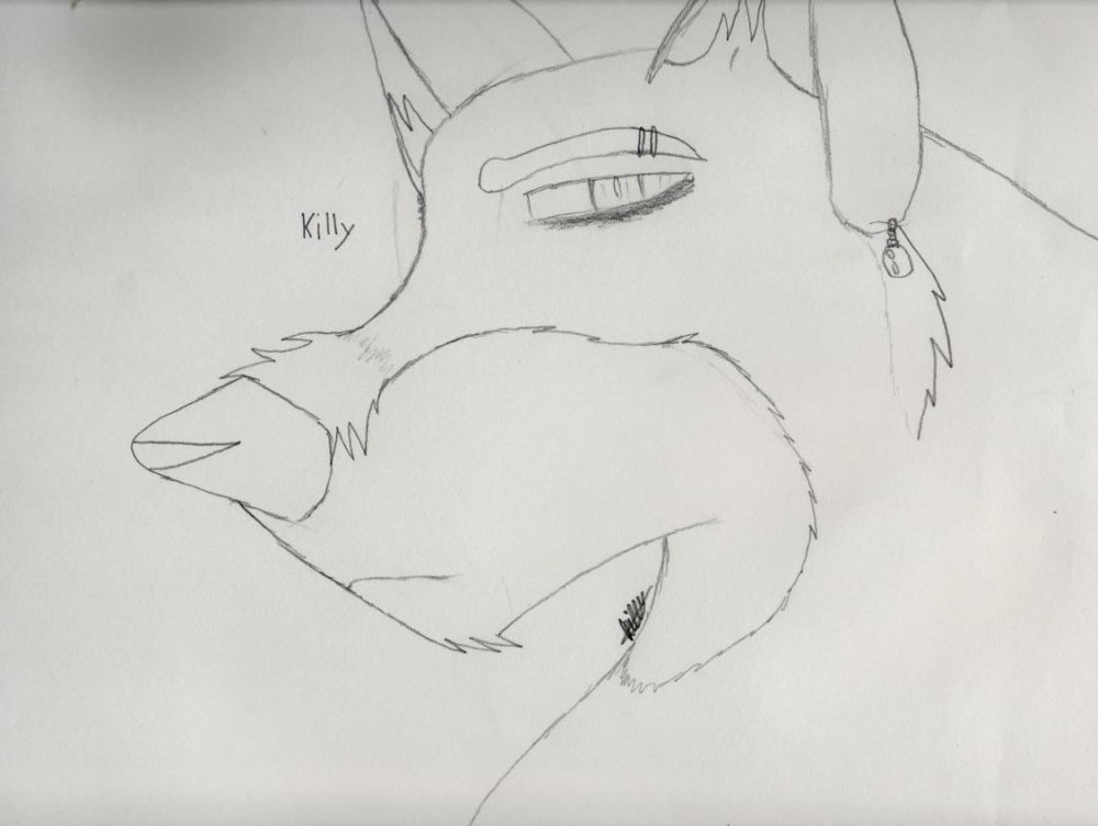 Killy