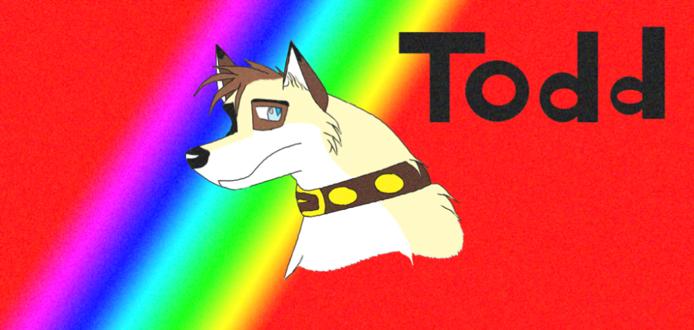 Todd