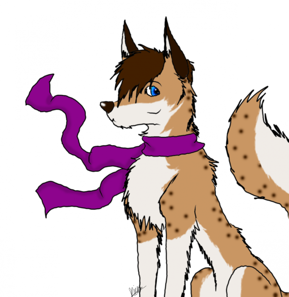 Keilidh