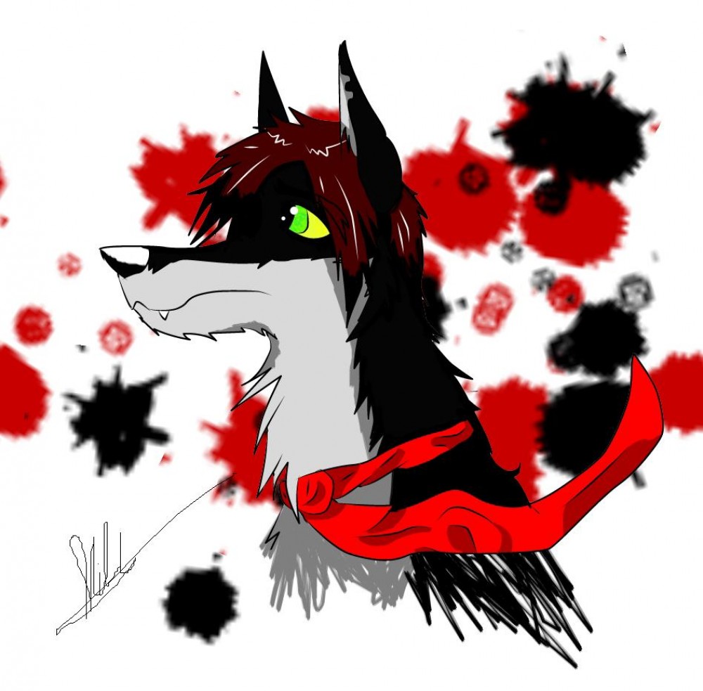 Killy869
