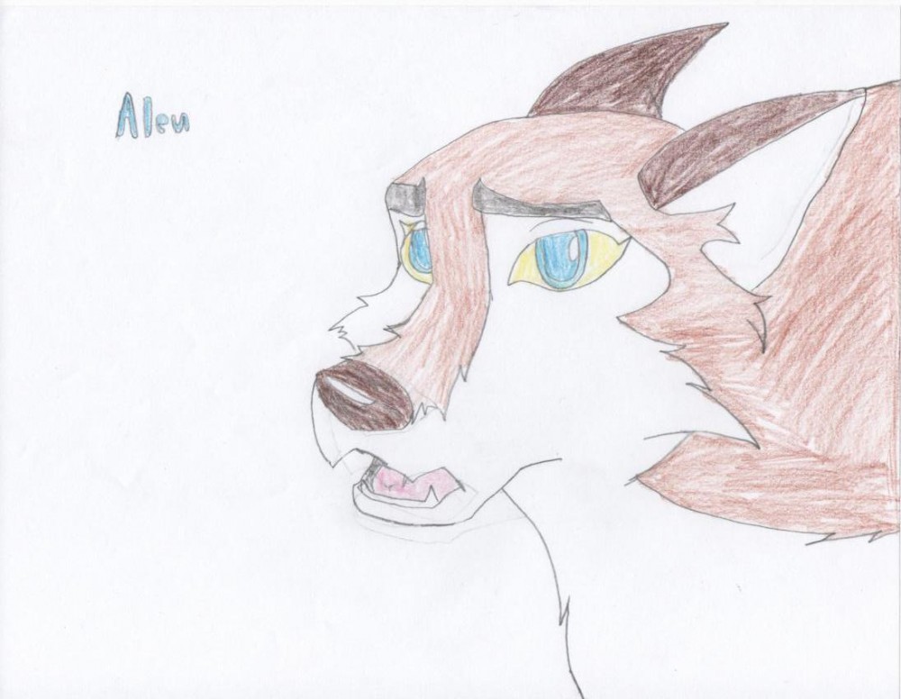 Aleu