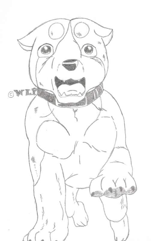 Riki