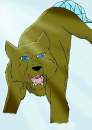 Riki