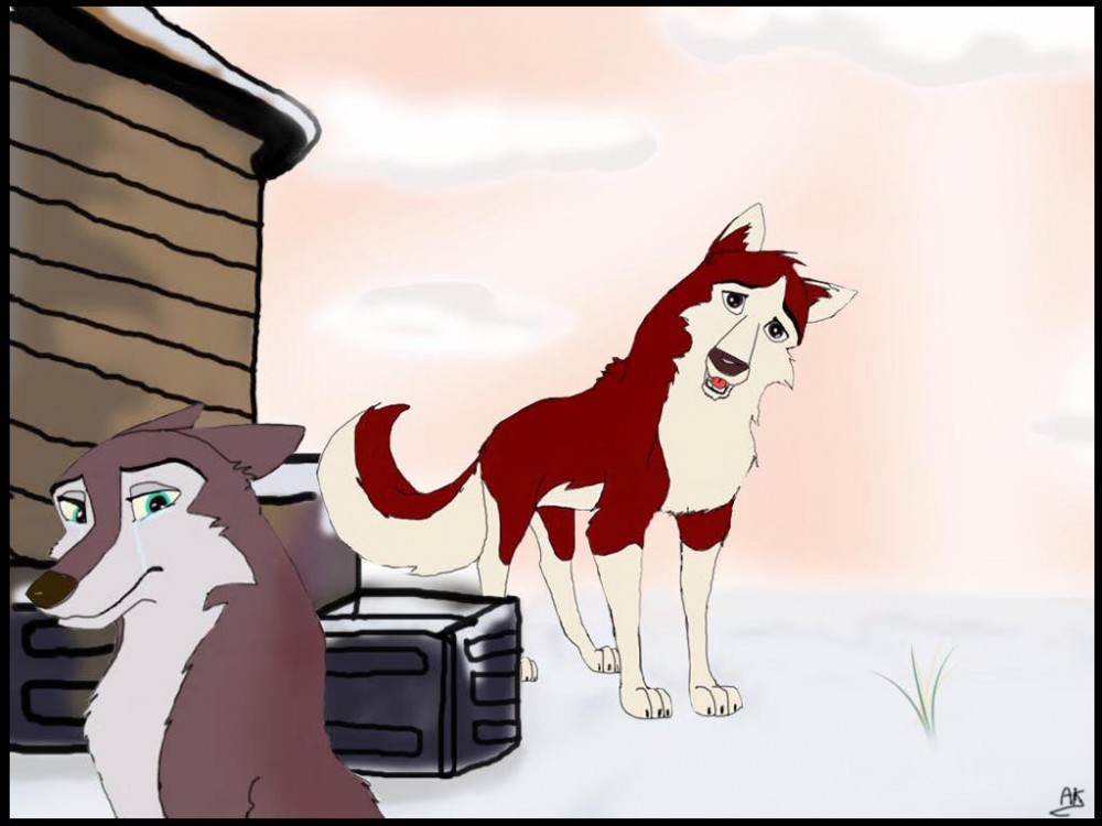 Kodi et Dusty