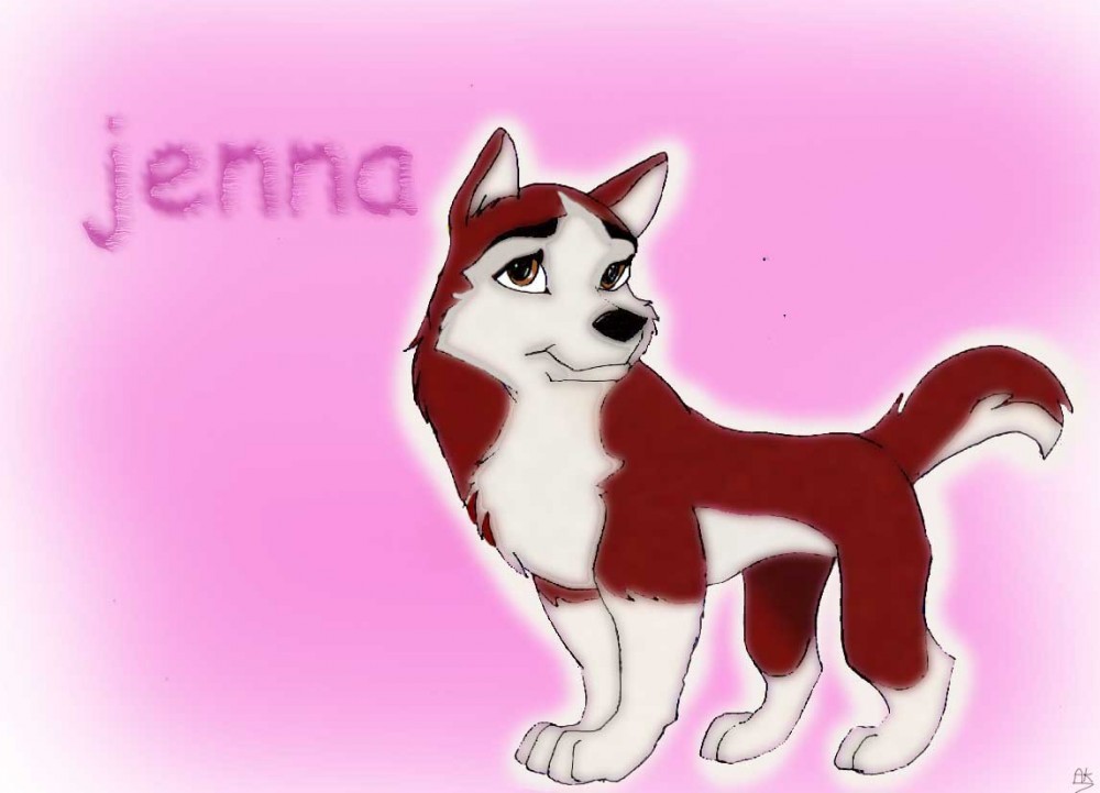 Jenna chiot