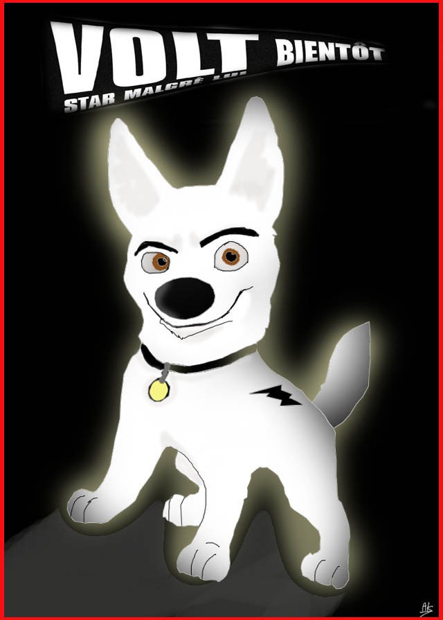 Volt, star malgré lui