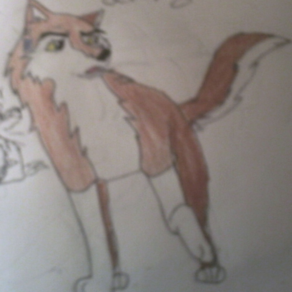 Aleu