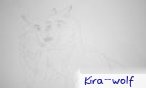 kira_wolf