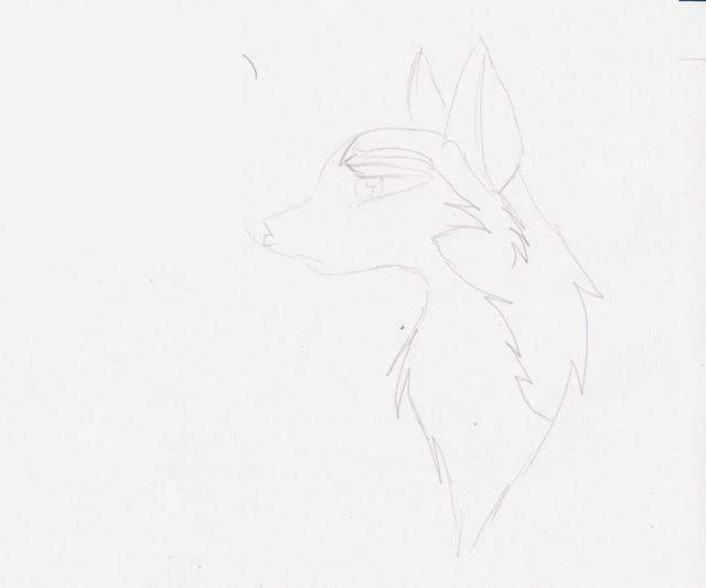 Wolfish Jennaa