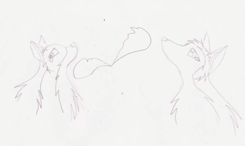 Casadh And Nightraven