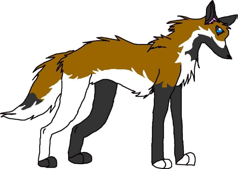 Fursona for Balto5670