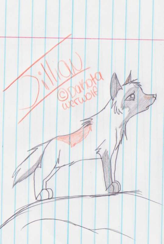 Jilliannnnn 