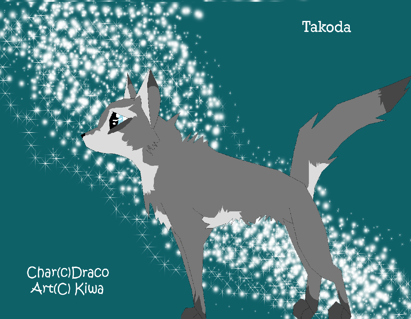 Takoda for Draco-trade