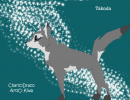 Takoda for Draco-trade