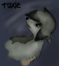 Toxicc