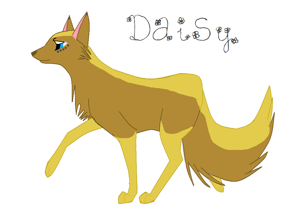 Daissss :]