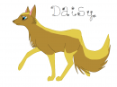 Daissss :]