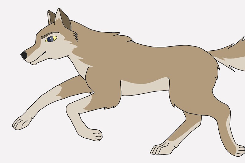 Aleu run