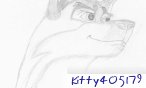 kitty405179