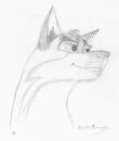 Balto
