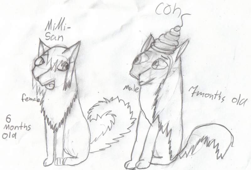 mimi and con