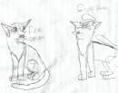 fire paw and gary paw