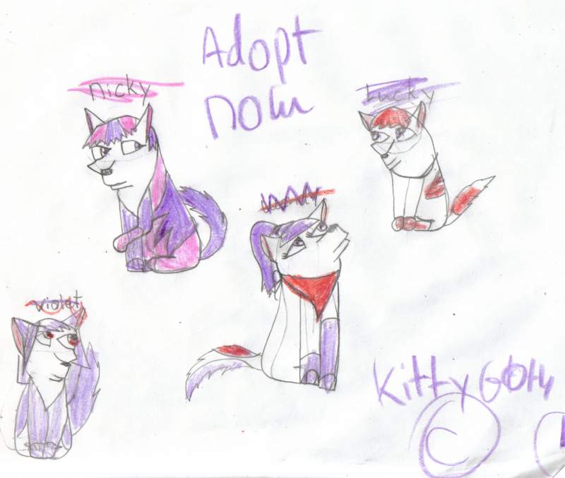 adopt NOW