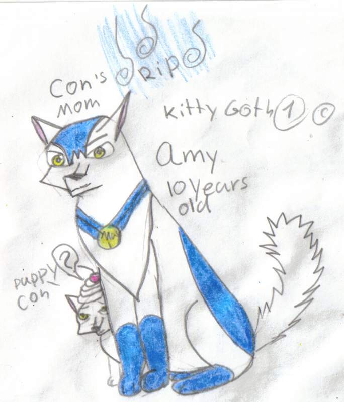 amy