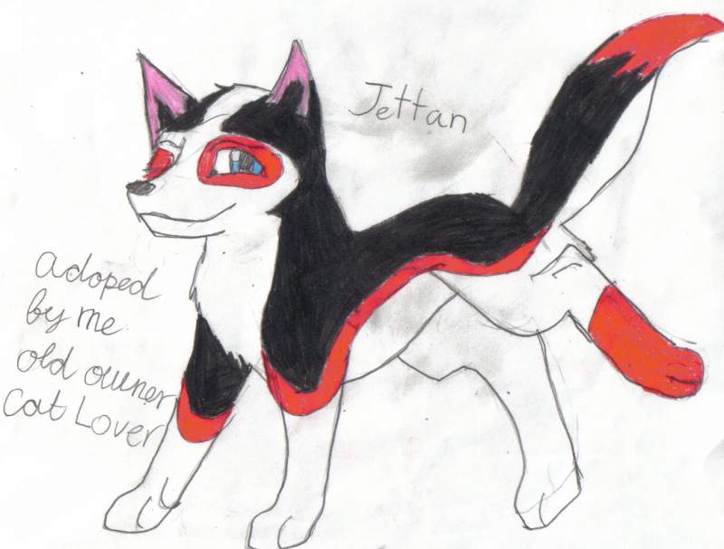 jettan